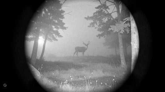 How Far Can Digital Night Vision See? What Affects Real Distance