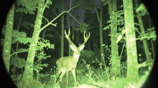 Why Are Night Vision Goggles Green?