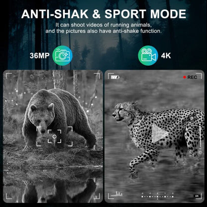 NV4000B Digitial Night Vision Goggles